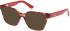 Guess GU50381 sunglasses in Red/Horn
