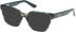 Guess GU50381 sunglasses in Dark Green/Horn