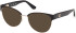 Guess GU50382 sunglasses in Matte Black