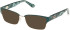 Guess GU50383 sunglasses in Matte Dark Green
