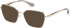 Guess GU50384 sunglasses in Shiny Gold/Grey