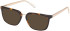 Guess GU50392 sunglasses in Dark Havana