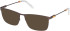 Timberland TB1736 sunglasses in Brown