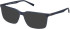 Timberland TB1740 sunglasses in Dark Blue