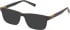 Timberland TB1797 sunglasses in Brown