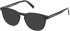 Timberland TB1804 sunglasses in Matte Black
