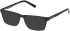 Timberland TB1816-H sunglasses in Black