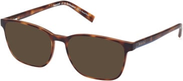 Timberland TB1817 sunglasses in Tortoise