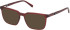 Timberland TB1819-H-53 sunglasses in Matte Dark Red