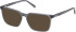 Timberland TB1819-H-55 sunglasses in Matte Blue