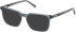 Timberland TB1819-H-55 sunglasses in Matte Light Blue