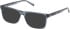 Timberland TB1840-H-55 sunglasses in Shiny Blue