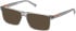 Timberland TB50004 sunglasses in Shiny Grey