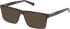 Timberland TB50004 sunglasses in Dark Havana