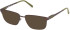 Timberland TB50027-57 sunglasses in Matte Dark Brown