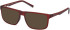 Timberland TB50029-H sunglasses in Matte Dark Red