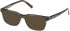 Timberland TB50031-H sunglasses in Dark Green/Horn
