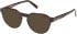 Timberland TB50032 sunglasses in Light Brown/Horn