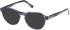 Timberland TB50032 sunglasses in Blue/Horn