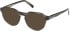 Timberland TB50032 sunglasses in Dark Green/Horn