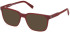 Timberland TB50047-54 sunglasses in Matte Dark Red
