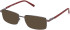 Timberland TB50048 sunglasses in Shiny Dark Ruthenium