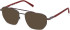 Timberland TB50049 sunglasses in Shiny Dark Ruthenium
