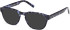Timberland TB50052 sunglasses in Blue/Havana