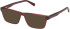 Timberland TB50056 sunglasses in Matte Dark Red
