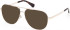 Timberland TB50057 sunglasses in Shiny Pale Gold
