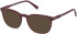 Timberland TB50066 sunglasses in Matte Dark Red