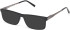 Timberland TB50069-H sunglasses in Shiny Black