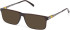 Timberland TB50069-H sunglasses in Shiny Dark Brown