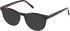 Timberland TB50071 sunglasses in Dark Havana