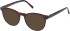 Timberland TB50071 sunglasses in Red/Horn