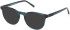 Timberland TB50071 sunglasses in Light Blue/Horn