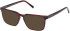 Timberland TB50072-H-54 sunglasses in Red/Horn