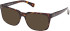 Timberland TB50074 sunglasses in Dark Havana