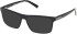 Timberland TB50076-55 sunglasses in Shiny Black
