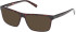 Timberland TB50076-55 sunglasses in Dark Havana