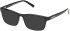 Timberland TB50077-H-54 sunglasses in Shiny Black