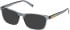 Timberland TB50077-H-54 sunglasses in Dark Havana