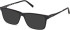 Timberland TB50080 sunglasses in Shiny Black