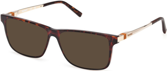 Timberland TB50080 sunglasses in Dark Havana