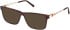 Timberland TB50080 sunglasses in Dark Havana