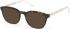 Timberland TB50084 sunglasses in Dark Havana