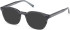 Timberland TB50084 sunglasses in Shiny Blue