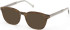 Timberland TB50084 sunglasses in Shiny Dark Green
