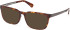 Timberland TB50086-H sunglasses in Coloured Havana