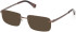 Timberland TB50090 sunglasses in Matte Dark Brown